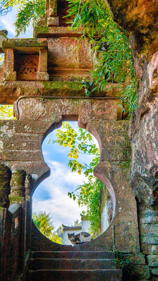 齊雲山私藏!避開人潮的秋日小眾秘境 齊雲山私藏!避開人潮的秋日小眾秘境