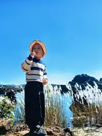 季節限定|雲南獨有的水上石林