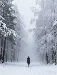 人少景絕價更低!呼倫貝爾冬季攻略