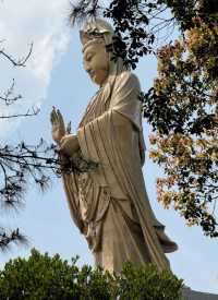 寧波-舟山4日遊手把手教你玩到爽