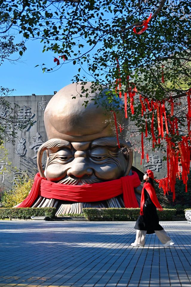 南山竹海反差萌拉滿 南山竹海反差萌拉滿