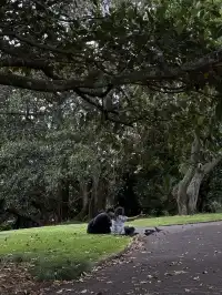 陰天 在奧克蘭city的周邊