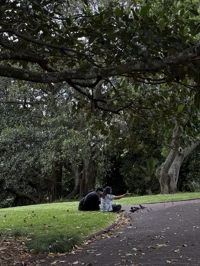 陰天 在奧克蘭city的周邊 陰天 在奧克蘭city的周邊