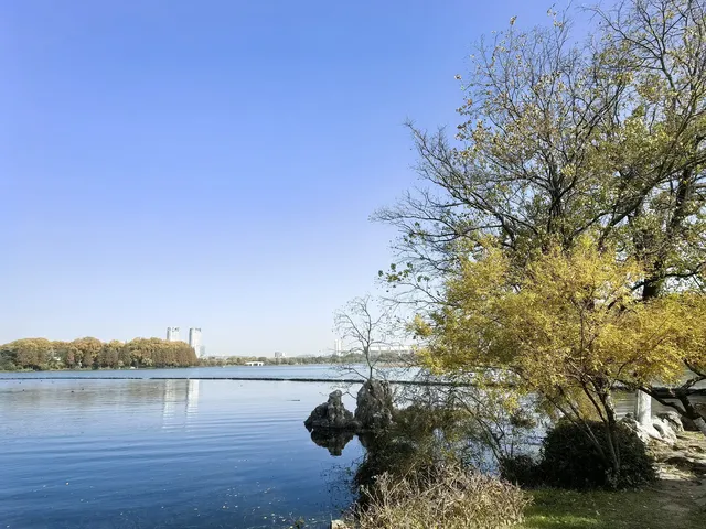 #南京5天#休閒之旅 上篇 #南京5天#休閒之旅 上篇