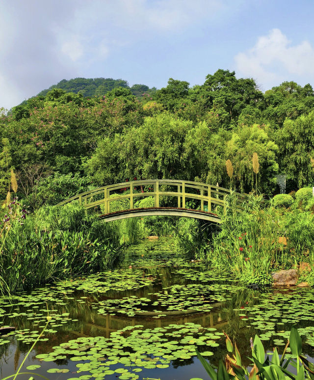 南寧青秀山旅遊拍照打卡地 南寧青秀山旅遊拍照打卡地