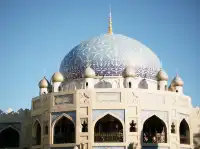 東迪海洋｜難忘！好玩！一日記錄