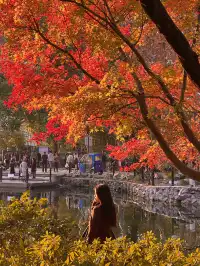 12.5號實拍 | 魯迅公園週末應該會有萬人參觀