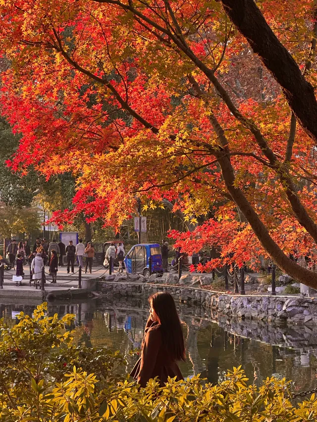 12.5號實拍 | 魯迅公園週末應該會有萬人參觀