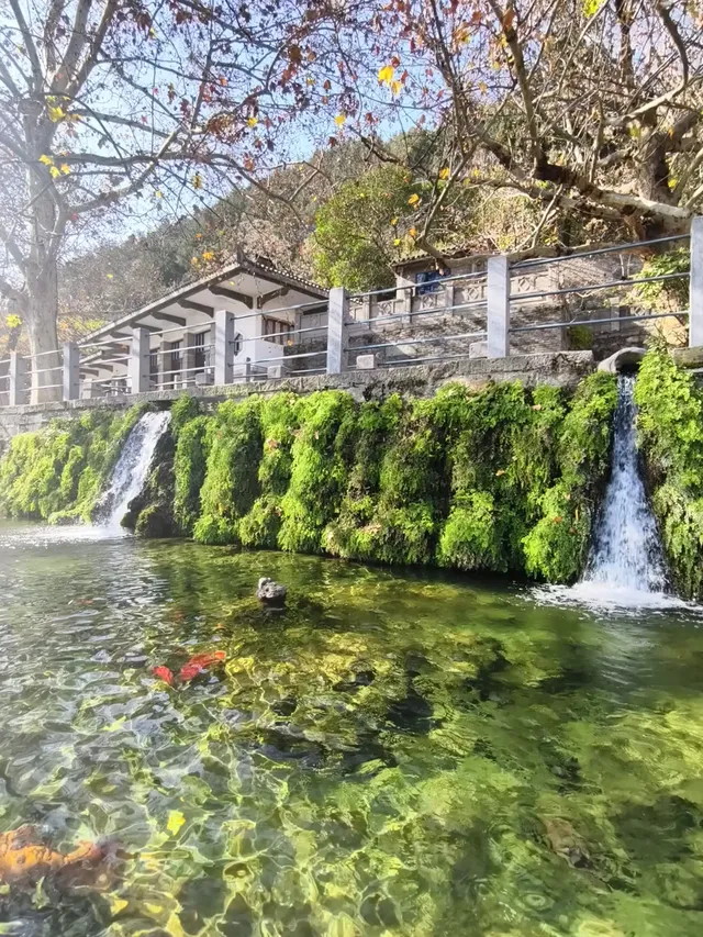 洛陽|龍門石窟|11.29實況 洛陽|龍門石窟|11.29實況