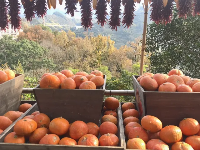 蕪湖～篁嶺自駕