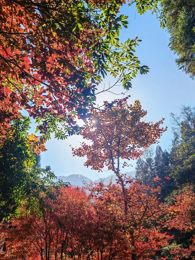 每週一山百丈漈帶娃闖進瀑布的武俠世界