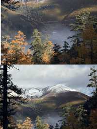 10.28實拍live~稻城亞丁秋色爆表!美到窒息