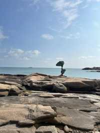 平潭島冬日最美打開方式風車落日、S灣公路美到窒息!