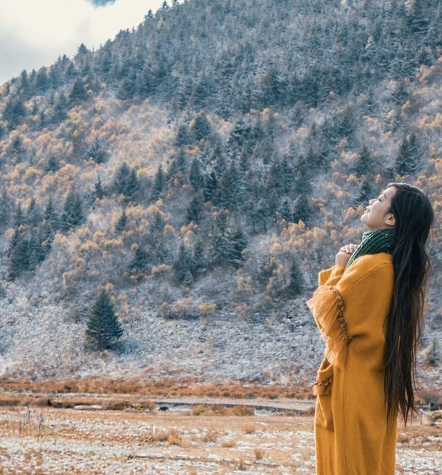 自駕川西一場大雪,川西有了冬日氛圍 自駕川西一場大雪,川西有了冬日氛圍