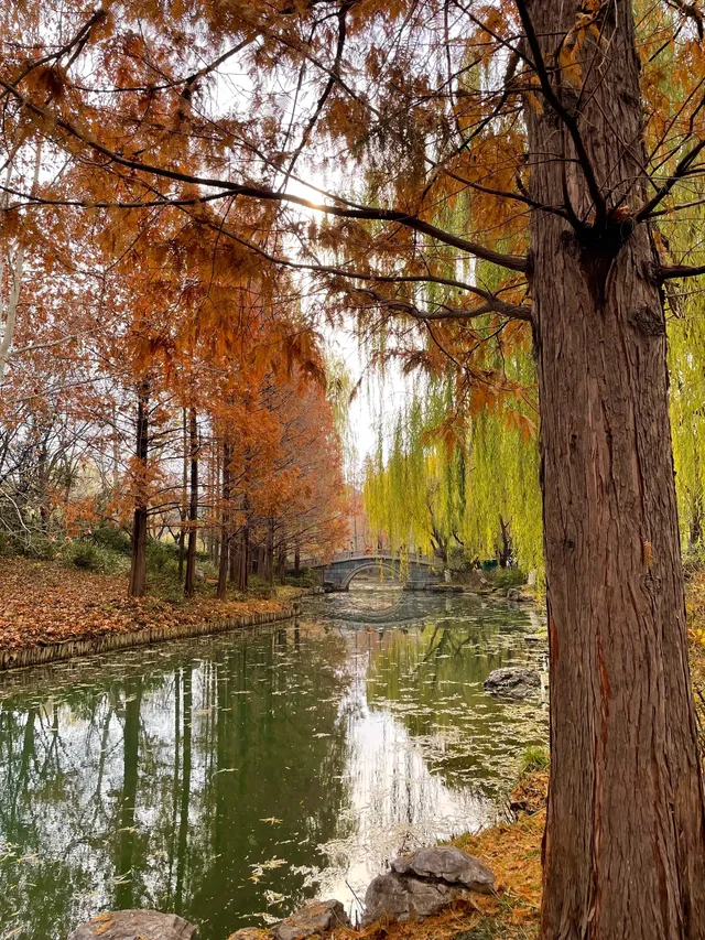 老舍：上帝把秋和冬全賜給了濟南