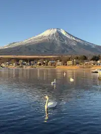 12.7實況live早起會被富士山獎勵粉色日出