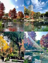 魔都小眾治癒地輔德里公園|市中心藏的森林綠洲