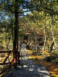 浙北大峽谷遊玩全攻略|懸崖秋千+玻璃吊橋嗨翻天