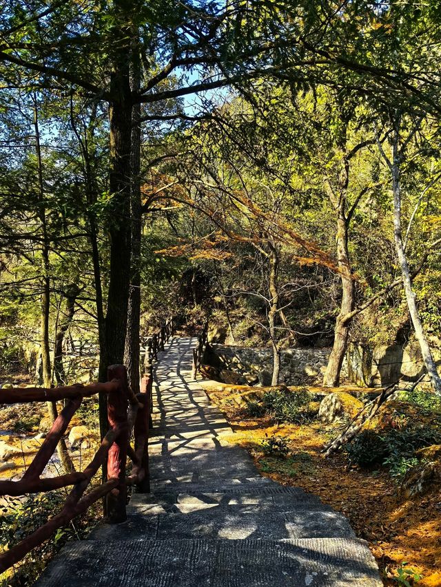 浙北大峽谷遊玩全攻略|懸崖秋千+玻璃吊橋嗨翻天 浙北大峽谷遊玩全攻略|懸崖秋千+玻璃吊橋嗨翻天