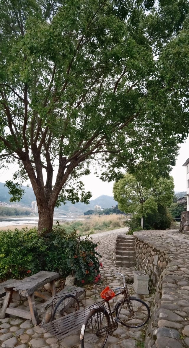 福州嵩口古鎮:景色醉人的桃源仙境 福州嵩口古鎮:景色醉人的桃源仙境