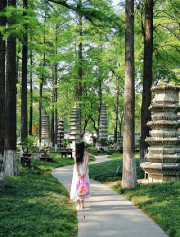 Life Advice: Visit These Places Before Leaving Wuhan (All Free) 