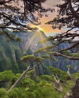 Xu Xiake Didn't Lie! Climbing Huangshan, the Best Mountain Under Heaven - Travel Guide