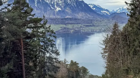 The other side of Lake Thun is quieter than you might imagine — traveler post in Thun
