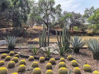 Querétaro Weekend Trip | Discover Hidden Pyramids & Museums