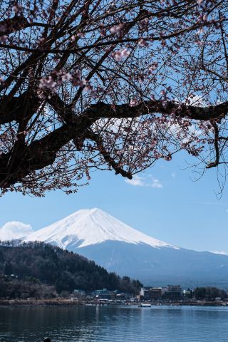 Mount Fuji Island Loop