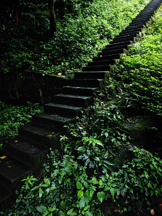 灵岩山·古街山间茶室 参考图 5