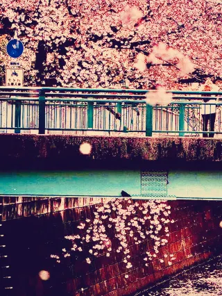 Tachikawa Travel Guide 2026: Top Attractions, Things to do