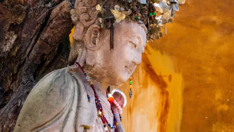 Pujiang Two-Day Trip Complete Guide — traveler post in Pujiang