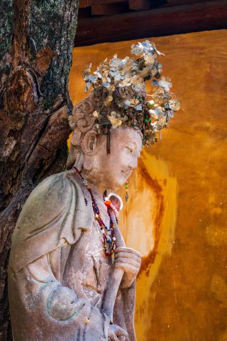 Pujiang Two-Day Trip Complete Guide