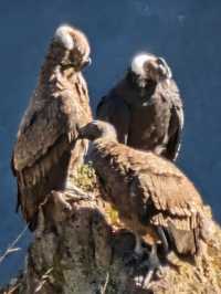 Incredible Peruvian Adventure with Outstanding Guide Willington