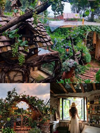 Kunming’s outskirts hold a hidden gem! A secret vineyard courtyard to heal your entire summer