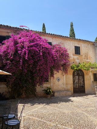 A Hidden Gem of Discreet Luxury in Mallorca