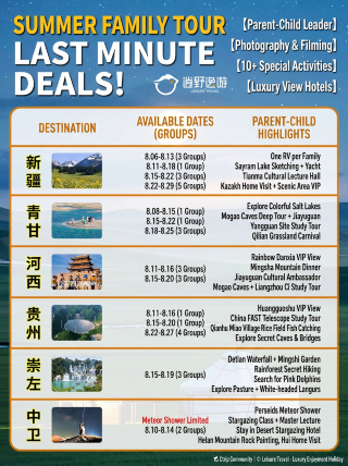 Summer family trips with great deals on these 6 high-quality routes—book now without hesitation