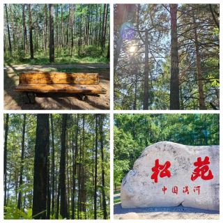 My Magical Adventure in Mohe Songyuan Forest Park: Nature’s Miracle Journey