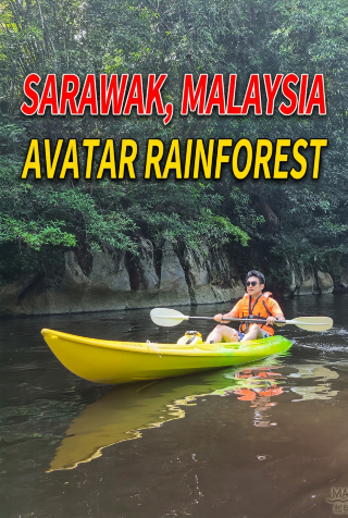 Step into the real-life Avatar rainforest! A must-try hidden gem in Sarawak, Malaysia
