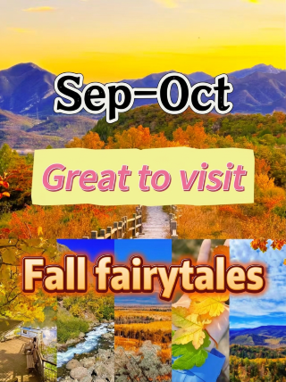 Step into the autumn fairytale of Changbai Mountain; September and October are truly divine. During this season, Changbai Mountain is like a spilled palette of nature's colors, breathtakingly beautiful.