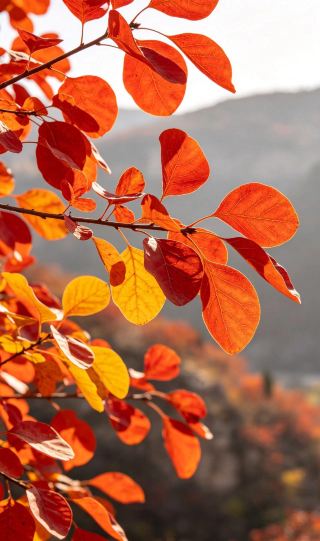 Hongye Shiyan | A romantic mountain getaway in the Zibo countryside