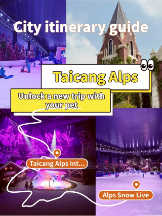 Spot Foto Salju Anabul di Taicang Alps Ini Estetik Banget!