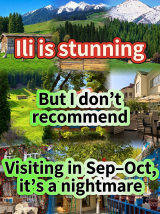 Yili is beautiful, but I don't recommend visiting in September–October—it's a struggle! 