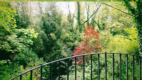 Visiting multiple European countries in autumn is absolutely amazing. — traveler post in Belfast
