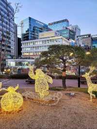 겨울이면 더 핫해지는 명동거리🎄✨️
