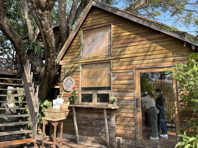 📌Daynin.cafe อ.พาน จ.เชียงราย ☕️ 📸