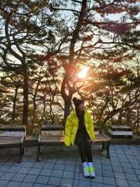부산을 일찍 시작하는 방법! 아침이 아름다운곳🌅