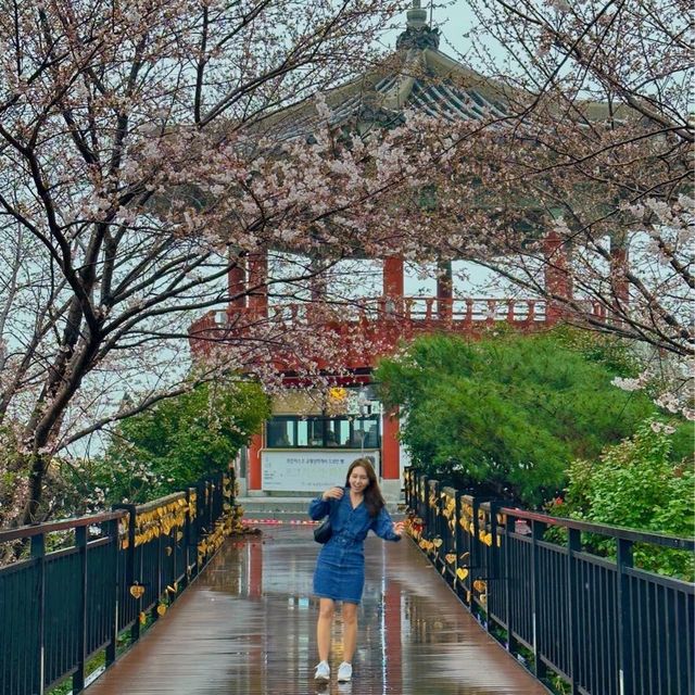 여수 가볼만한 곳 돌산공원 여수해상케이블카