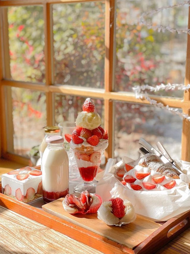 🍓 딸기에 미친자 결국 딸기 오마카세를 찾게되는데...