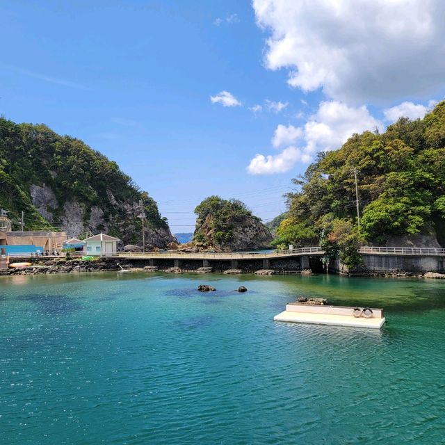 【圧倒的海、大自然、動物】下田海中水族館
